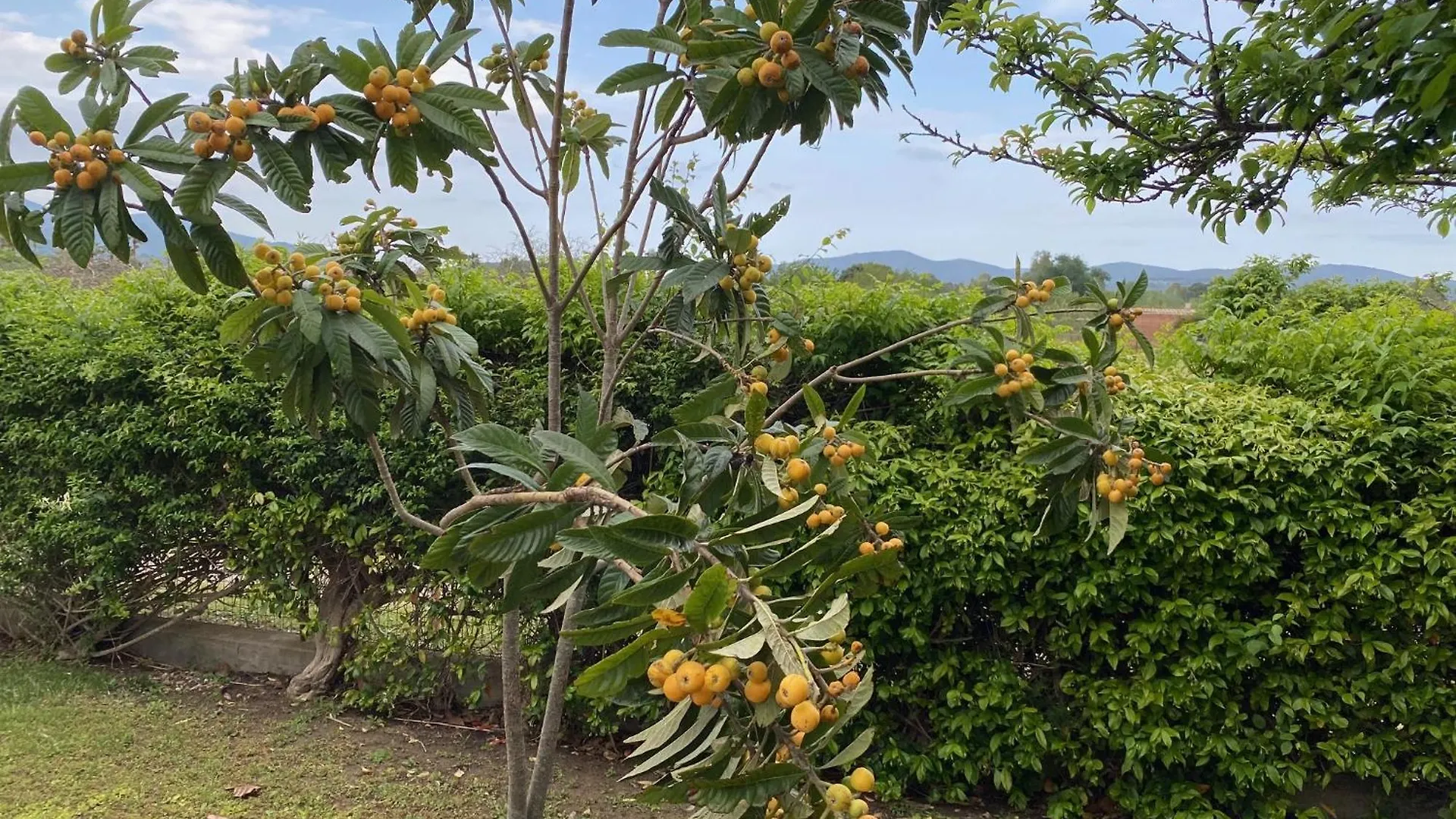Villa Villetta Con Grande Giardino Vicino Alla Spiaggia Di Campus Villasimius